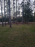 Forestry Mulching