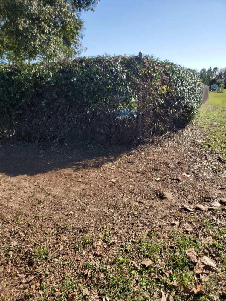 Forestry Mulching
