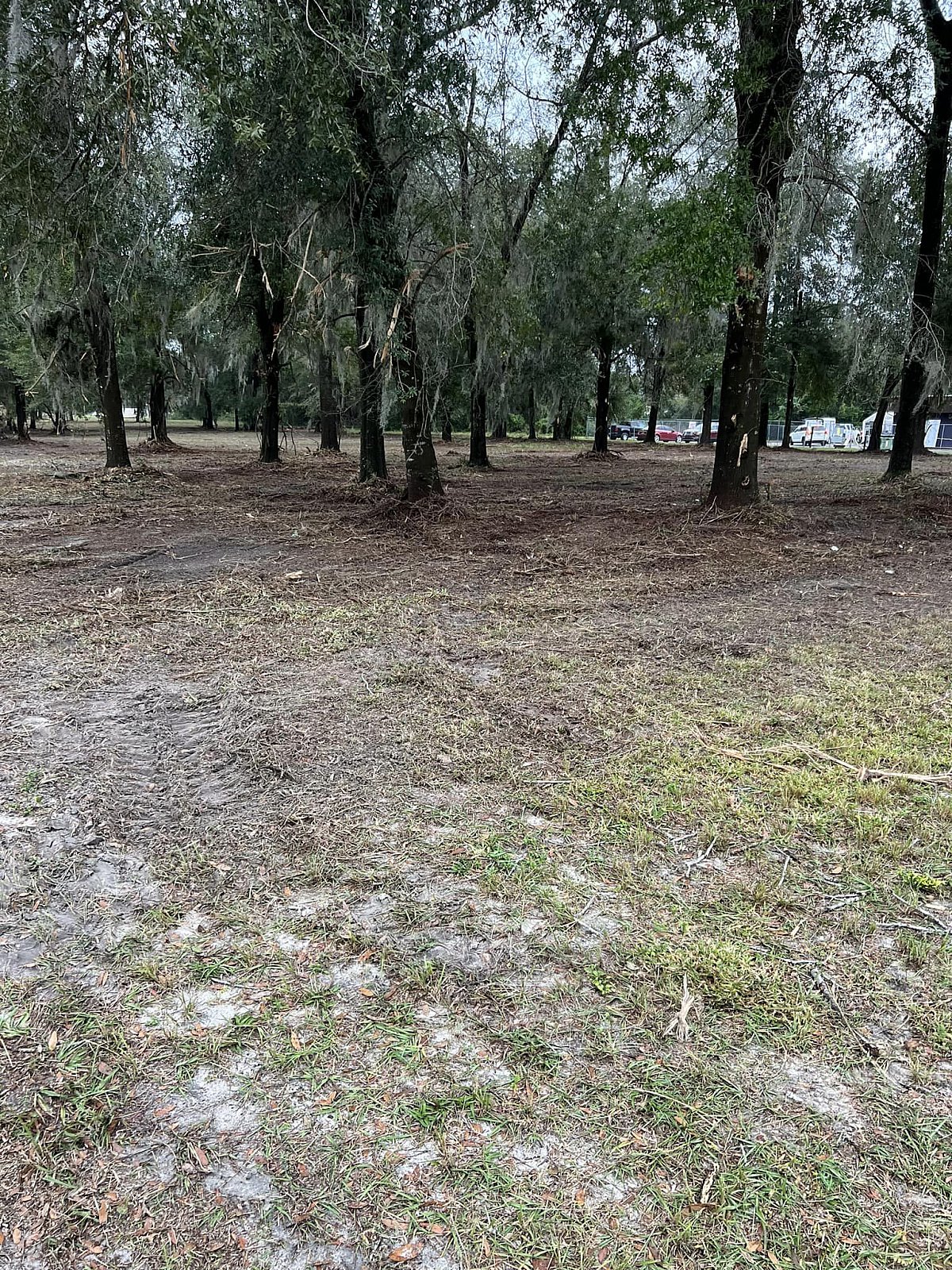 Forestry Mulching