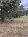 Forestry Mulching