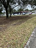 Forestry Mulching