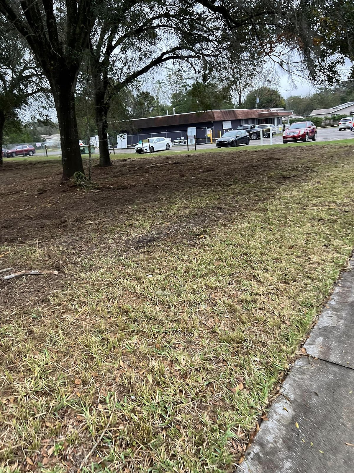 Forestry Mulching