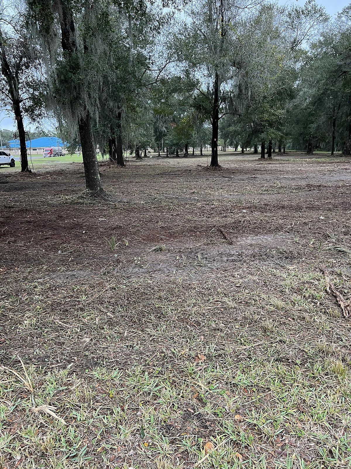 Forestry Mulching