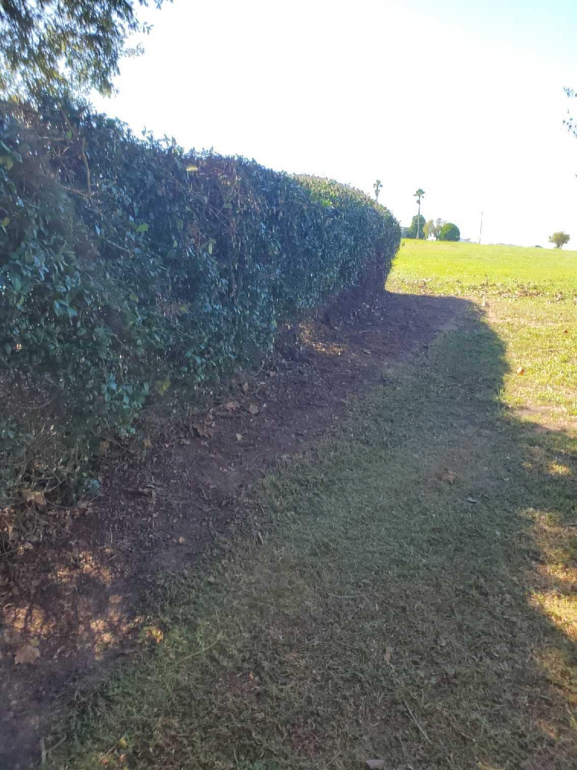 Forestry Mulching