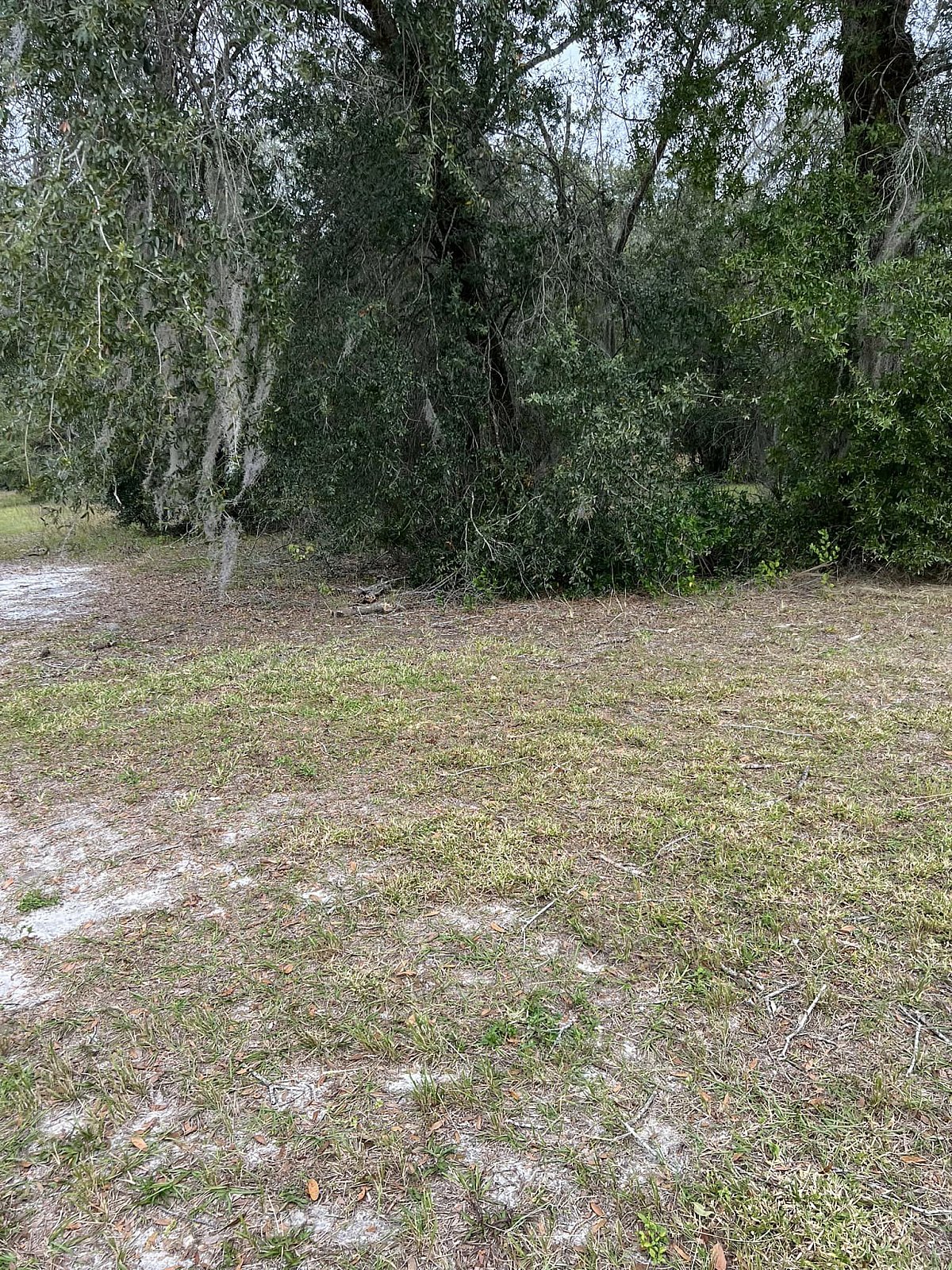 Forestry Mulching