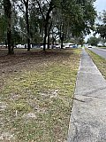 Forestry Mulching